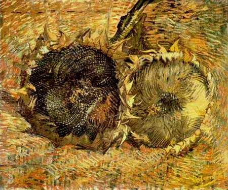 Van Gogha Słoneczniki