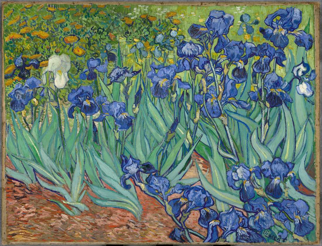 Obraz van Gogha - Irysy - Irises